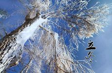 团队群名称大全励志霸气