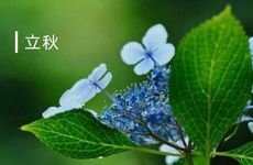 立秋节气的习俗及传统美食