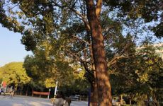 立秋节气的民俗活动及养生食物