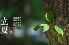 梦到去世的人超过3次以上是什么预兆？