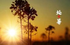 梦见蝴蝶效应怎么回事 梦见蝴蝶效应有什么预兆