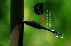 喜欢和男友分享二次元文化的生肖女