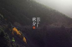 梦见杀鸡周公解梦，梦见杀鸡是什么意思？