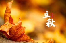 威海立秋当天吃什么 立秋什么食材最好