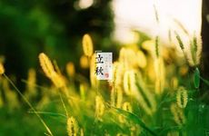 2022年立秋是公老虎还是母老虎 2022立秋母老虎和公老虎什么意思