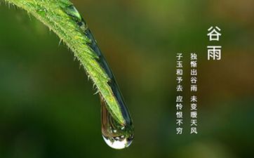 2023年谷雨是好日子吗