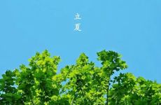 为什么立夏要吃乌米饭 立夏的特殊习俗有哪些