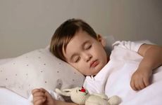 今日属相冲什么 2024年12月12日生肖相冲查询