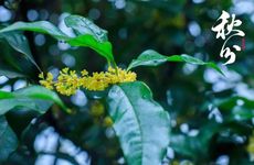 一进门对面墙挂钟好吗 一进门对面的墙能挂钟表吗