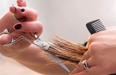 梦见君臣父母是什么意思？