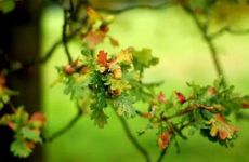 2023年处暑节气具体时间【优秀4篇】