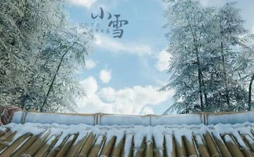 二十四节气:小雪 物候特点