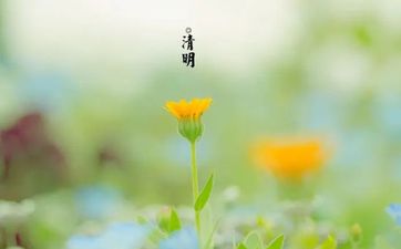 梦见被大雨淋湿是什么意思 梦见被大雨淋湿是什么征兆