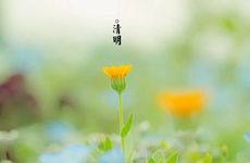 清明节踏青放风筝的好处和禁忌