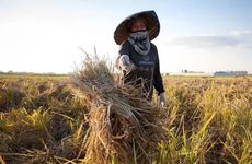 梦见孙权是什么意思？