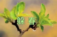 初七不吃面条会怎么样 大年初七的风俗和禁忌