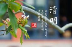 梦见晒中药　周公解梦之梦到晒中药