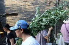 梦见白龙周公解梦，梦见白龙是什么意思？