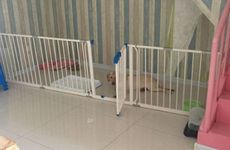 2022年农历十二月二十五的喜神是什么方位