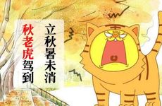 2022年属虎人适不适合做生意