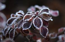 梦见攀岩怎么回事 梦见攀岩有什么预兆