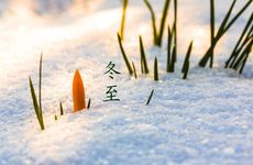 冬至一阳生的养生方法 冬至中医养生进补指南