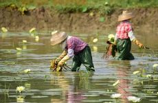 梦见蹴鞠周公解梦，梦见蹴鞠是什么意思？