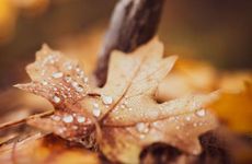 11种人容易短命具体有什么特征？ 短命的人有什么特征