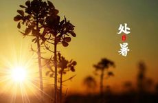 意外怀孕二胎是报恩吗 意外二胎怎么办