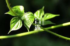 梦见掉水里了是什么兆头