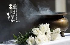 梦见茄子长得很茂盛 梦到茄子很多茄子又长又大