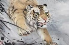 属虎的戴什么翡翠挂件好 戴什么旺运