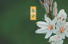 梦见到死人活了怎么回事 梦见死人活了有什么预兆