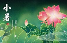 梦见珍珠项链什么意思