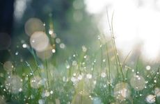 2022年白露在什么时间几点几分 白露节气各地风俗