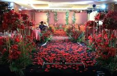 2023年万圣节适合结婚吗 万圣节能结婚吗