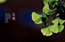 2024年立夏时节厌祟避蛇 这天的饮食注意事项