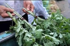 洛阳二月二吃什么东西 要送鱼吗