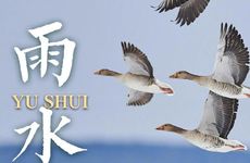 24节气中雨水节气是什么含义 24节气中表示降雨开始的节气