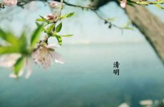 清明节的习俗 蚕花会