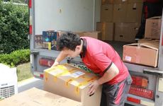 阳骨在哪个位置，阳骨有什么说法