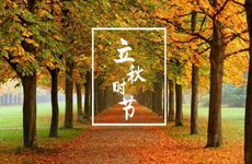 2022年与太岁相冲相害的属相 2022年合太岁相冲的属相