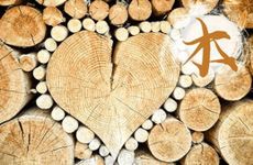 1973年属牛桑松木命是怎样的