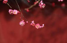 2023立春时间几点几分几秒钟 2023立春有什么讲究和禁忌