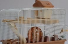 宁愿单着也不要在垃圾堆里找对象的星座