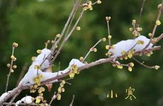 2023年小寒节气可以立碑吗 立碑有什么讲究？