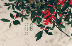 立秋节气的活动及注意事项