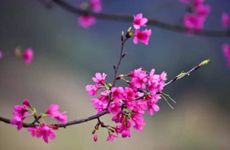 2026年躲春时间和方法