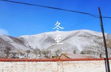 陌生猫进家门的寓意 什么属相养猫能聚财