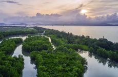 梦见有人跳楼是什么意思